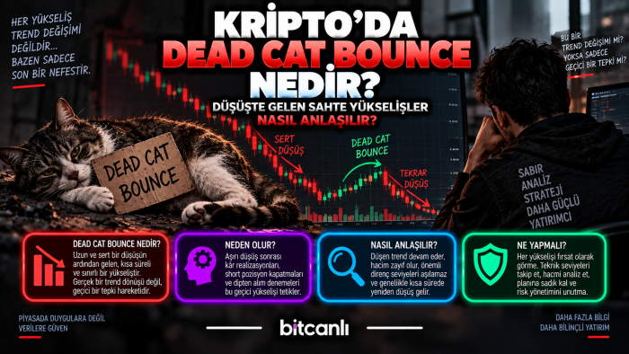 Kripto’da Dead Cat Bounce Nedir? Düşüşte Gelen Sahte Yükselişler Nasıl Anlaşılır?